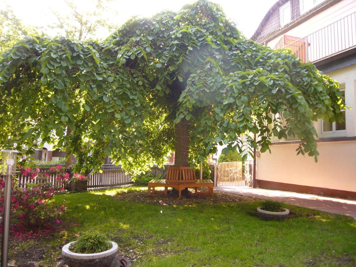 Hotel Stadt Munster Eksteriør billede